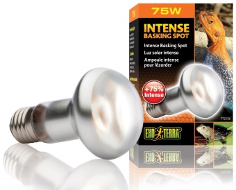Лампа для баскинга Intense basking spot  75 Вт. 63mm. PT2136 фото, цены, купить