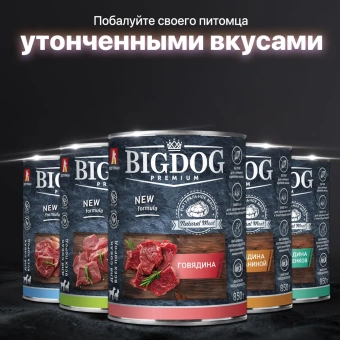 Зоогурман Big Dog Premium консервы для щенков с говядиной 850г фото, цены, купить