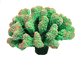 Акв Грот "Коралл зеленый, жесткий" (17*16*10.5) фото, цены, купить