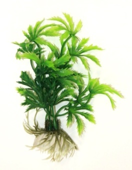 Прозерпина зелёная 10см фото, цены, купить