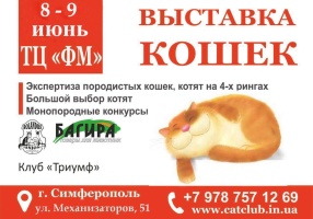 Выставка кошек в ТЦ FM г. Симферополь в июне