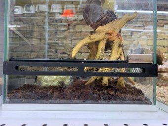 Аква Тоника Террариум "Краб и Паук" большой 25*25*35см фото, цены, купить