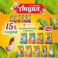 Выгодные предложения Happy Jungle в декабре