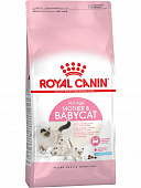 Royal Canin Mother & Babycat для котят до 4 мес 2кг фото, цены, купить