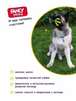 FANCY Игрушка для собак  "Кактус", 20 см фото, цены, купить