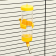 Поилка для грызунов "Пижон", 125 мл, жёлтая фото, цены, купить