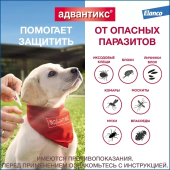 Адвантикс для собак (1 пипетка) до 4кг фото, цены, купить