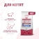 Monge Speciality Line Monoprotein сухой для котят и беременных кошек, из говядины 400 г фото Monge Speciality Line Monoprotein сухой для котят и беременных кошек, из говядины 400 г фото, цены, купить