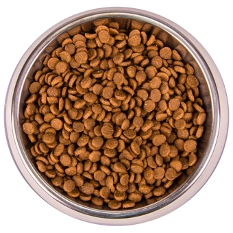 Monge Speciality Line Monoprotein сухой для котят и беременных кошек, из форели 1,5 кг фото, цены, купить