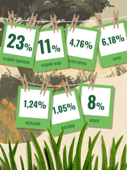 "Счастливый Пёс" для всех пород собак, Индейка 10кг фото, цены, купить