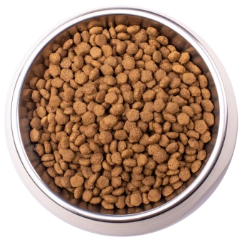 Monge VetSolution Obesity сухой для кошек при избыточном весе 1,5 кг фото, цены, купить