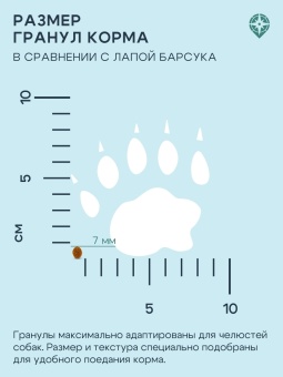 Территория Кавказ Индейка с морошкой для щенков мелких пород 800г фото, цены, купить