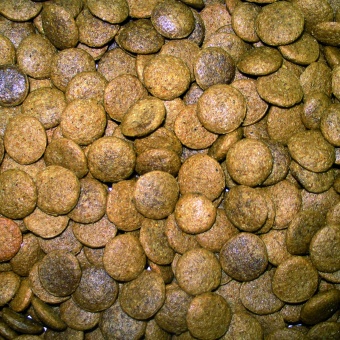 Счастливчик "Энергия" телятина с рисом для активных собак 15кг фото, цены, купить