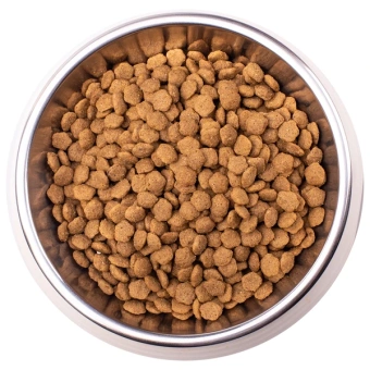 Monge VetSolution Diabetic Диабетик сухой для кошек при сахарном диабете 1,5 кг фото, цены, купить