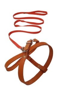 ZooStreet Шлея 15 кожа + Поводок 15 капрон с бубенчиком 120см фото, цены, купить