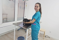 Ветеринарная клиника "Ласкава"