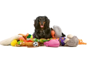 Пополнение в каталоге игрушки для собак