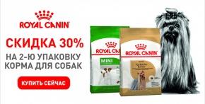 -30% на вторую упаковку сухого корма для собак Royal Canin