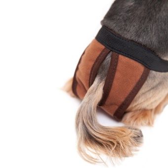 Трусы OSSO соб Многоразовые коричневые Т-1028/1029/1030/1031/1033/1035 фото, цены, купить