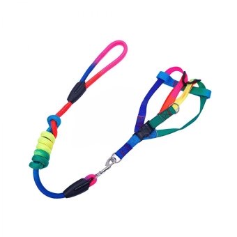 Комплект Зоомикс Радуга круглый поводок 0,8*120см+шлейка 1,5*46см  фото, цены, купить