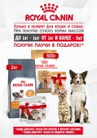 Подарок при покупке сухого корма Royal Canin