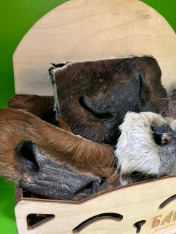 Лакомства AKARA BAR Нос говяжий 500г фото, цены, купить