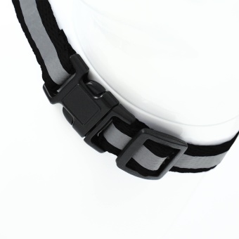 Комплект для кошек светоотражающий,ширина 1 см,шлейка 21-35 см,поводок 120 см, чёрный фото, цены, купить