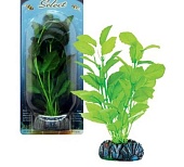 ROTALA SERRATE  Растение тканевое 19см зелёное фото, цены, купить