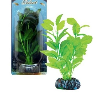 ROTALA SERRATE  Растение тканевое 19см зелёное фото, цены, купить