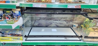 Аква Тоника Террариум Агама 80*45*40см фото, цены, купить