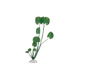 Искусственное растение "Кубашка"для аквариума, 50см (AP-019-50) фото, цены, купить
