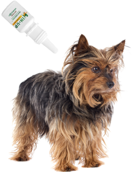 ИН-АП комплекс для собак весом до 10кг  фото, цены, купить