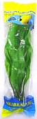 Растение пластиковое Эхинодорус  фото, цены, купить