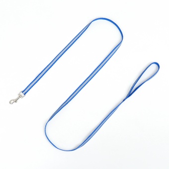 Комплект для кошек светоотражающий,ширина 1 см,шлейка 21-35 см,поводок 120 см, синий фото, цены, купить