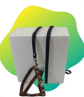 ZooStreet Шлея 10 кожа + Поводок 10 капрон с бубенчиком 110см фото, цены, купить