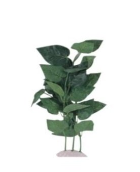 Шелковое растение 30см фото, цены, купить