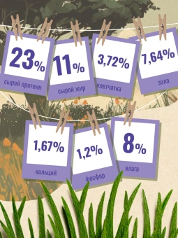 "Счастливый Пёс" для всех пород собак, Ягнёнок 2,5кг фото, цены, купить