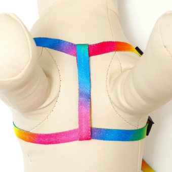 Комплект "Радуга", капрон, поводок 120 х 1 см, ОГ 24-34 см, разноцветный фото, цены, купить