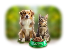 AMICO