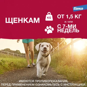 Адвантикс для собак (1 пипетка) до 4кг фото, цены, купить