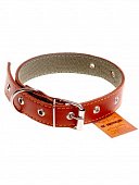Ошейник 35 кожа/брезент (длина 68, обхват шеи 47-62см)Арт.О3532 фото, цены, купить