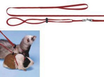 Шлея + Поводок Ferplast нейлон для хорька, морск. свинки  фото 