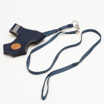 Шлея+Поводок "Рефлекс" 18-47см/95см Джинс фото, цены, купить