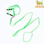 Комплект шлея + поводок 1см 16,5-27см/120см  фото, цены, купить