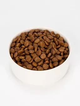 Ночной Охотник Ягнёнок с облепихой для кошек 10кг фото, цены, купить