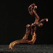 Лоза Виноградная 40-50см фото, цены, купить