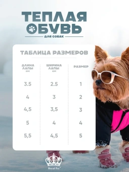Угги зимние малиновые №4 фото, цены, купить
