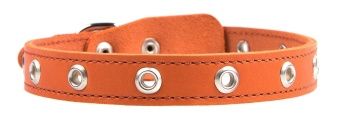 Ошейник 20мм натуральная кожа, универсальный фото, цены, купить