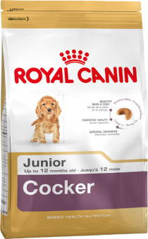 Royal Canin Cocker Junior для щенков породы Кокер до 12 месяцев фото, цены, купить