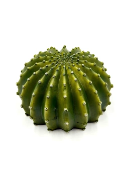 Грот-Укрытие "Кактус" 15*14*96см  (RP293) фото, цены, купить